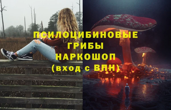 ГАЛЛЮЦИНОГЕННЫЕ ГРИБЫ Абинск
