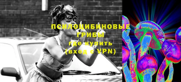 ГАЛЛЮЦИНОГЕННЫЕ ГРИБЫ Абинск