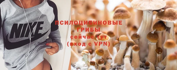 ГАЛЛЮЦИНОГЕННЫЕ ГРИБЫ Абинск