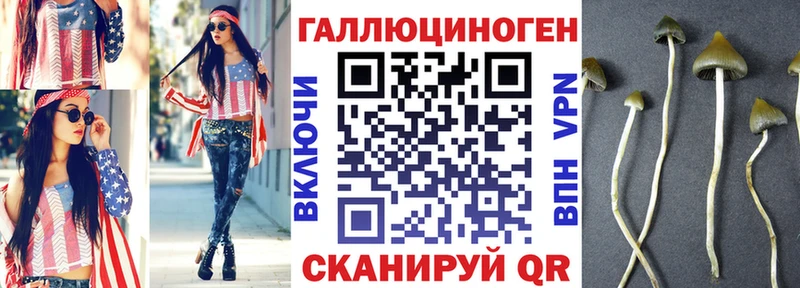 Галлюциногенные грибы Psilocybe наркошоп Елизаветинская