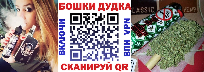 блэк спрут   Елизаветинская  МАРИХУАНА ГИДРОПОН 